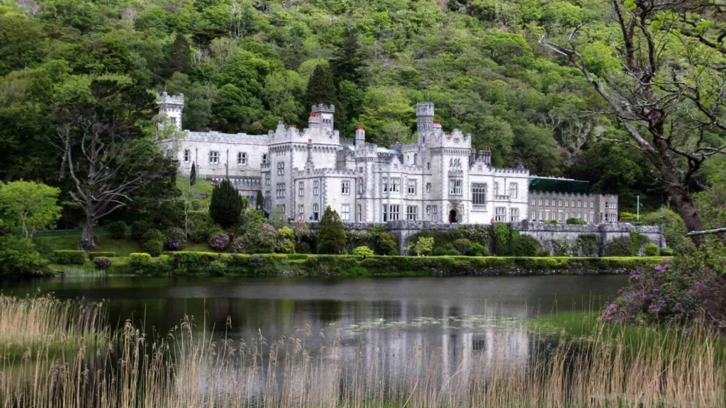Unveiling Ireland’s Wild Beauty: A Journey Through the Emerald Isle