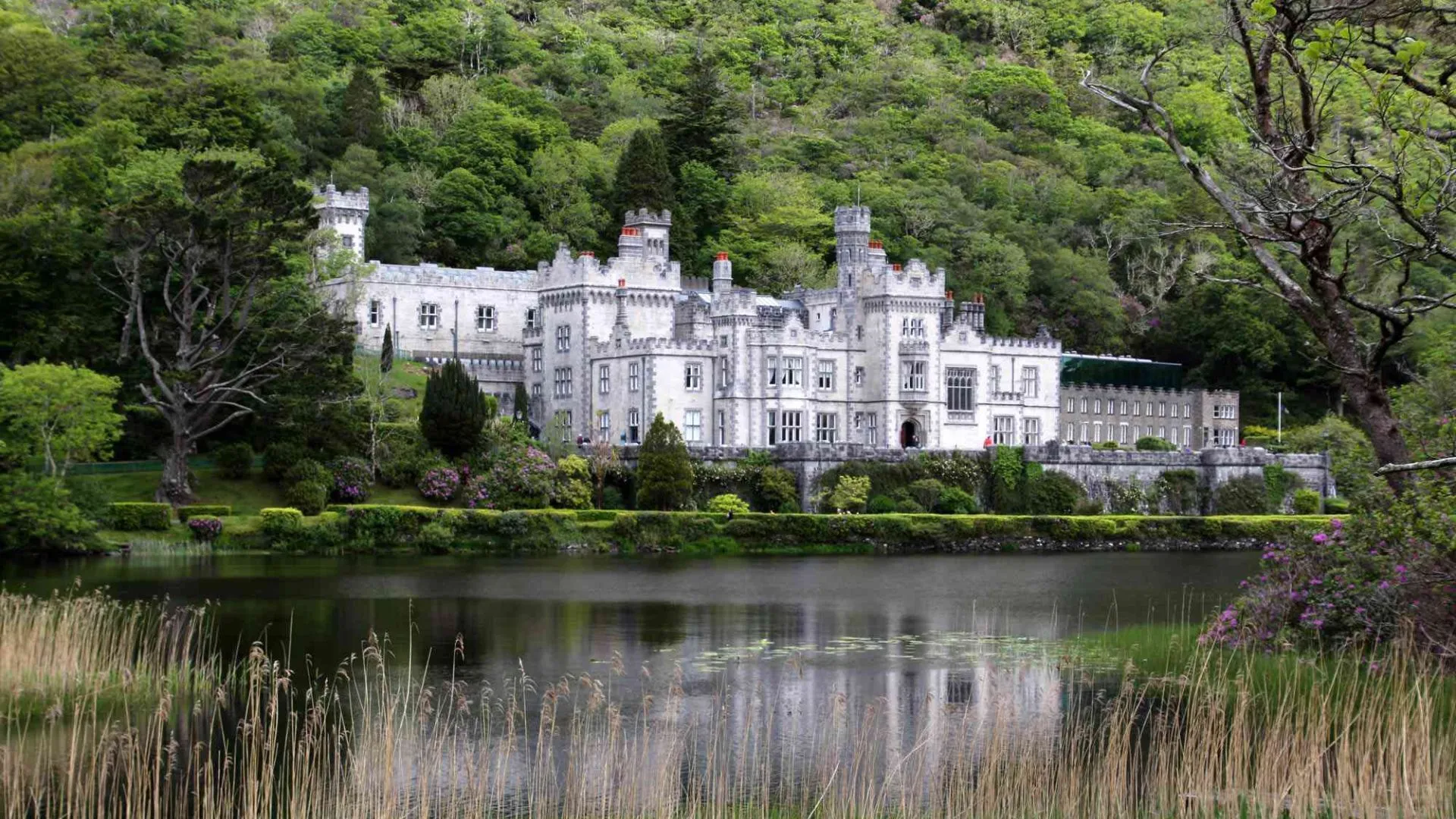 Unveiling Ireland’s Wild Beauty: A Journey Through the Emerald Isle